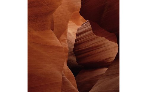 Goossens Schilderij Art Of Nature 2, 74 x 74 cm