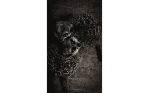 Goossens Schilderij Wild Life, 70 x 118 cm