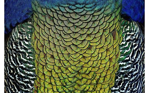 Goossens Schilderij Wonderful Life, 148 x 98 cm