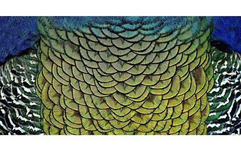 Goossens Schilderij Wonderful Life, 98 x 48 cm