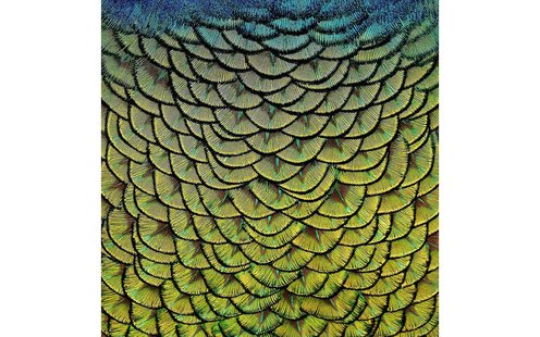 Goossens Schilderij Wonderful Life, 74 x 74 cm