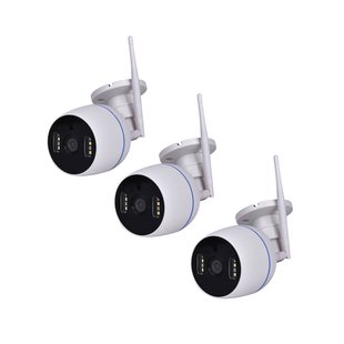 Prios Slimme WLAN-buitencamera Evaria, Tuya, nachtzicht, 3 stuks