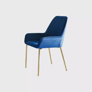 Eetkamerstoel Fiona Blauw - Set van 2