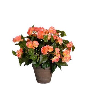 Mica Decorations Begonia Kunstplant - H37 x Ø36 cm - Zalmroze