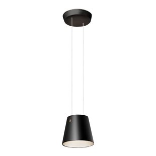 FEZ DTW Hanglamp
