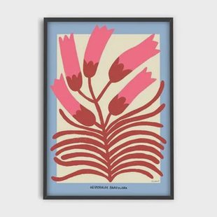 PSTR studio - Madelen - Hesperaloe Parviflora