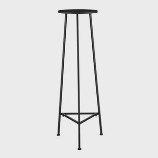 Mica Decorations Plantentafel - H120 x Ø35 cm - Metaal - Zwart