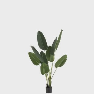 J-Line plant Strelitzia - kunststof - groen - small
