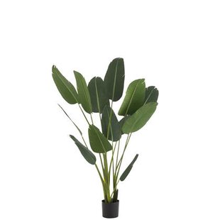 J-Line plant Strelitzia - kunststof - groen - medium J-Line plant Strelitzia - kunststof - groen - medium