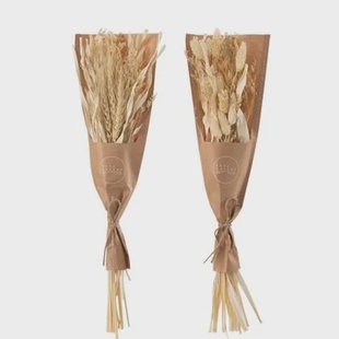 J-Line droogbloemen - Bundel gedroogde Avana gras - naturel