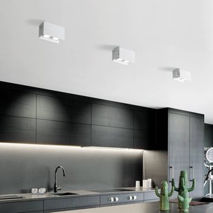 TECNICO by Sforzin Plafondlamp Elide 2-lamps