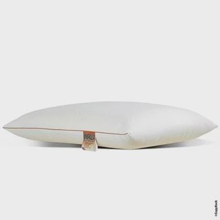 NachtrustOnline - Latex Kussen- 40x70cm