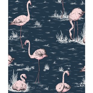 Flamingos