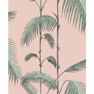 Palm Leaves