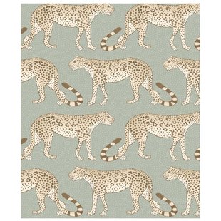 Leopard Walk Leopard Walk