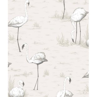 Flamingos