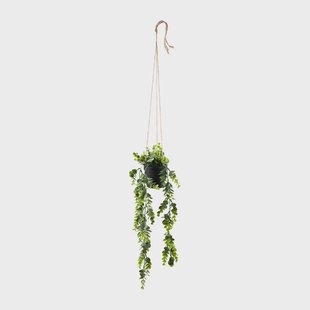 Hangplant - 65 cm