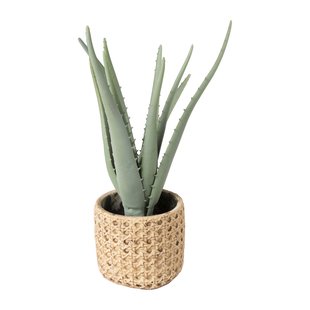 Kunstplant aloe vera - 33 cm Kunstplant aloe vera - 33 cm
