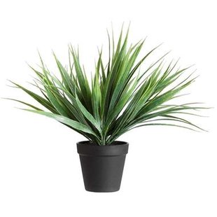 Siergras in pot - 30 cm - Leen Bakker Siergras in pot - 30 cm - Leen Bakker