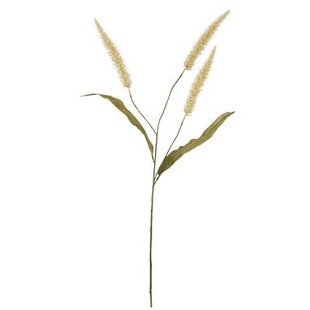 Leen Bakker - Kunstbloem Pennisetum Spray 3 Stuks - 33 Cm - Kunststof - Crème - H93 Cm