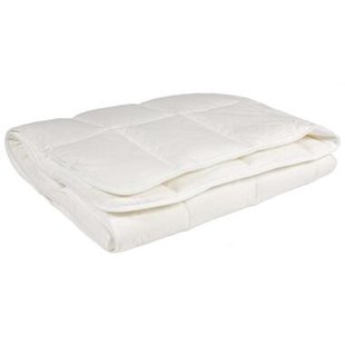 Leen Bakker - Polydaun Dekbed Guusje - Warm - 140x200 Cm - Synthetisch/Katoen - Wit