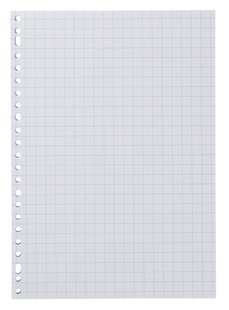 HEMA Ringbandpapier geruit 10x10mm - 100 stuks