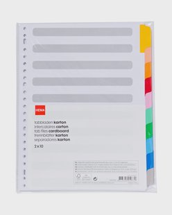HEMA Tabbladen karton A4 - 20 stuks