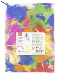 HEMA Veertjes - 100 stuks