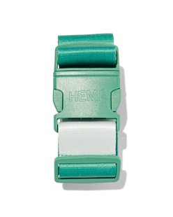 HEMA Bagageriem 180x5cm groen met strepen