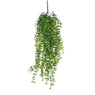 Mica Decorations Ficus Kunst Hangplant - H81 cm - Groen Mica Decorations Ficus Kunst Hangplant - H81 cm - Groen