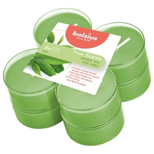 Bolsius Maxilichten True Scents Green Tea 8 Stuks 8 uur Bolsius Maxilichten True Scents Green Tea 8 Stuks 8 uur