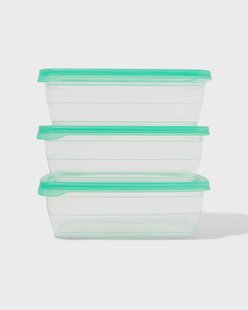 HEMA Vershoudbakjes 1.2L - 3 stuks