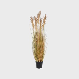 Pauline Sorghum kunstplant - 110 cm Pauline Sorghum kunstplant - 110 cm
