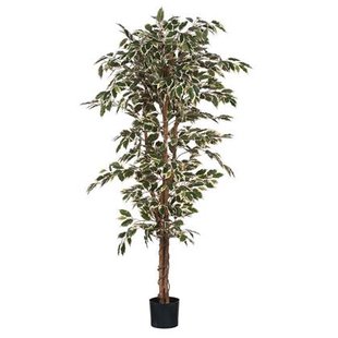 Mica Decorations Ficus Kunstplant - H180 x Ø90 cm - Groen Bont Mica Decorations Ficus Kunstplant - H180 x Ø90 cm - Groen Bont