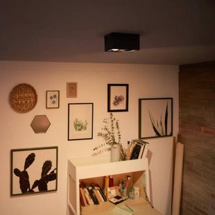 Philips myLiving Box LED spot 2-lamps zwart