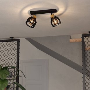 EGLO Plafondlamp Stillington 1, 2-lamps