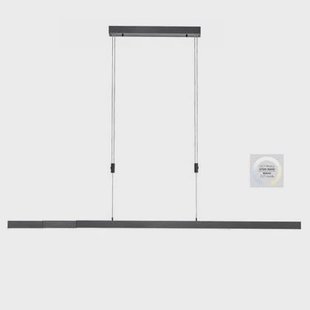 Paul Neuhaus Hanglamp Bacalia Antraciet L120-180cm
