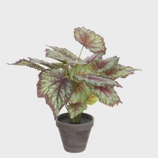 Mica Decorations Begonia Kunstplant - H40 x Ø38 cm - Rood