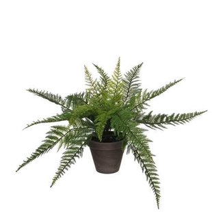 Mica Decorations Varen Kunstplant - H38 x Ø50 cm - Groen