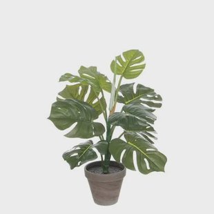 Mica Decorations Monstera Kunstplant - H48 x Ø39 cm - Groen Mica Decorations Monstera Kunstplant - H48 x Ø39 cm - Groen
