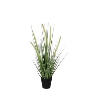 Mica Decorations Dogtail Gras Kunstplant - H53 x Ø30 cm - Groen Mica Decorations Dogtail Gras Kunstplant - H53 x Ø30 cm - Groen