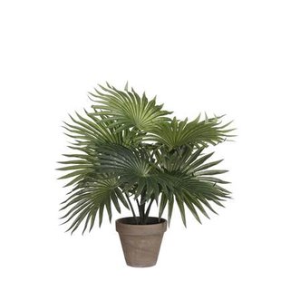 Mica Decorations Palm Kunstplant - H40 x Ø35 cm - Groen Mica Decorations Palm Kunstplant - H40 x Ø35 cm - Groen
