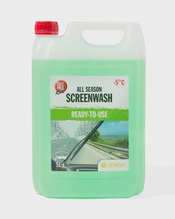 HEMA Ruitensproeier antivries 5L