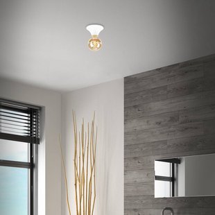 Briloner Plafondlamp Tepel voor de badkamer IP44 E27 wit Briloner Plafondlamp Tepel voor de badkamer IP44 E27 wit