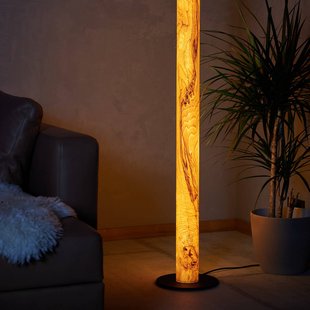 LeuchtNatur Gracia zonder staaf Olijfboomvoet zwart