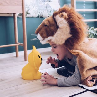 Mr Maria Lion oplaadbare lamp First Light, 25 cm