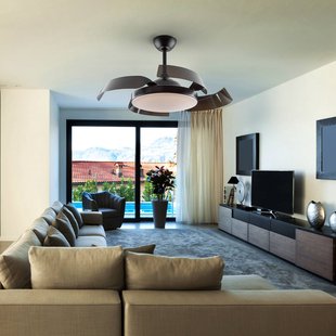 Schuller Valencia Plafondventilator Enzo met LED dimbaar, CCT zwart