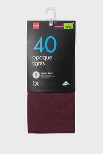 HEMA Temp tech panty 40denier aubergine (aubergine)
