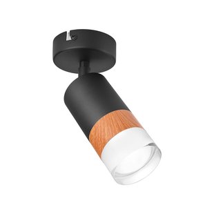 Envostar Fida plafondspot, 1-lamp, zwart