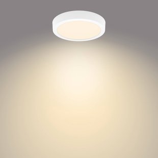 Philips Slim Surface 2.700K rond 21cm wit